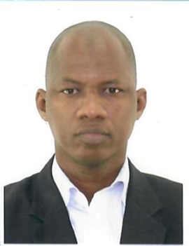 Mr. Ousmane Amadou Sy