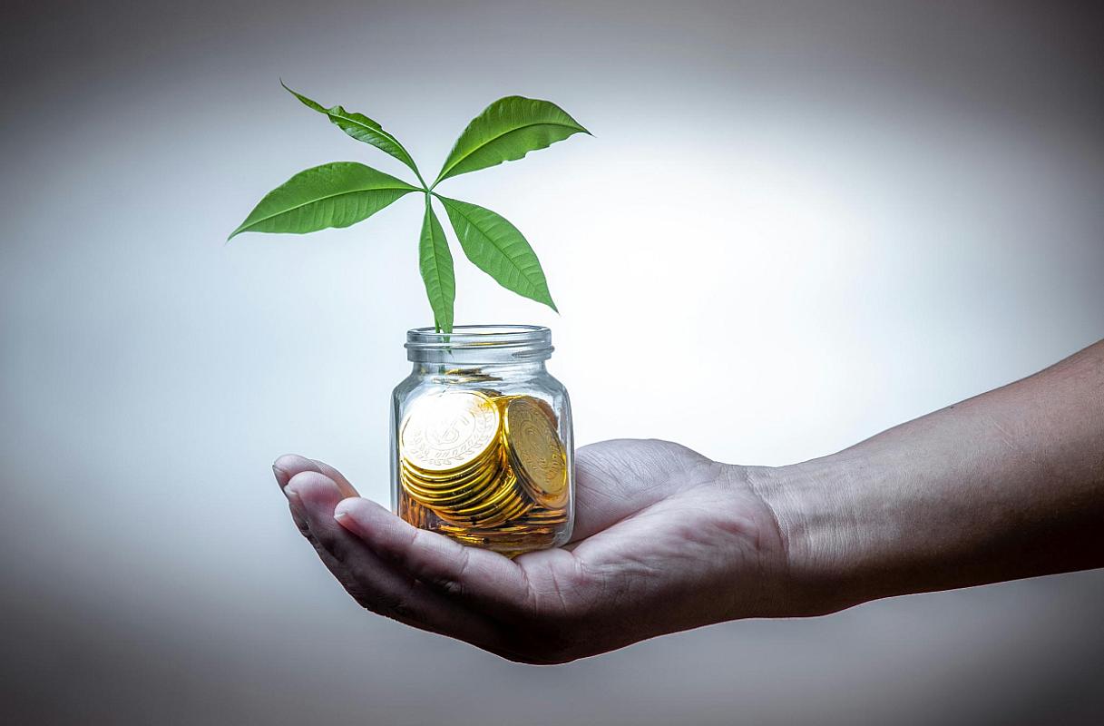 Social Investment